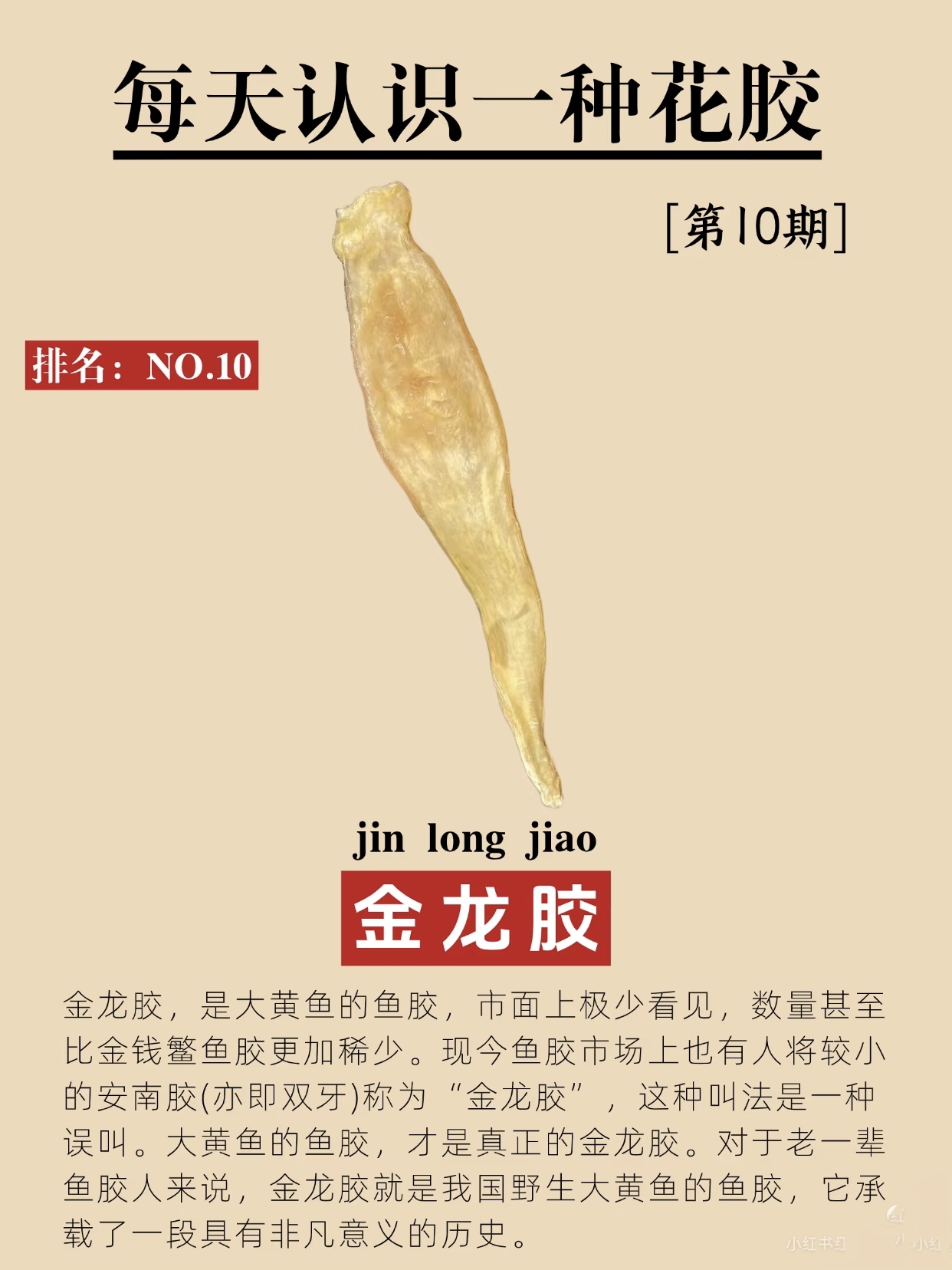微信图片_20260326124106_427_543.jpg