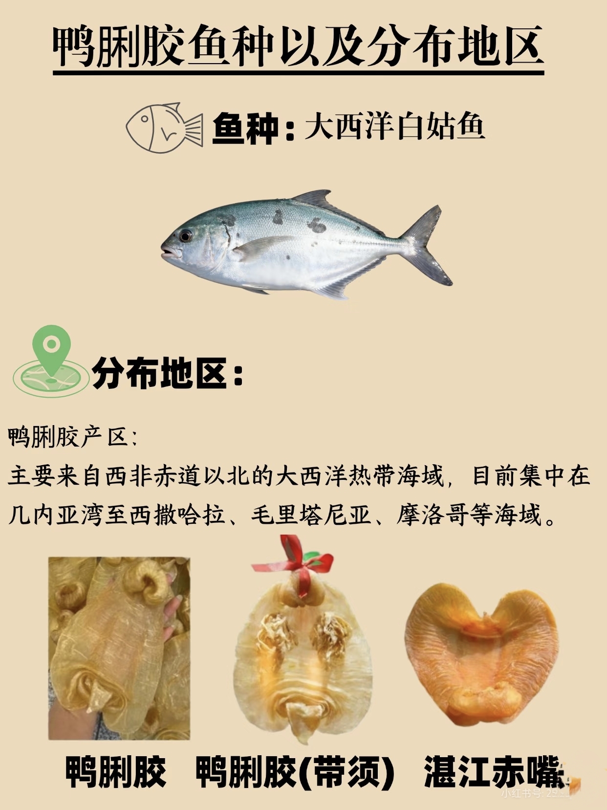 微信图片_20260326124633_430_543.jpg