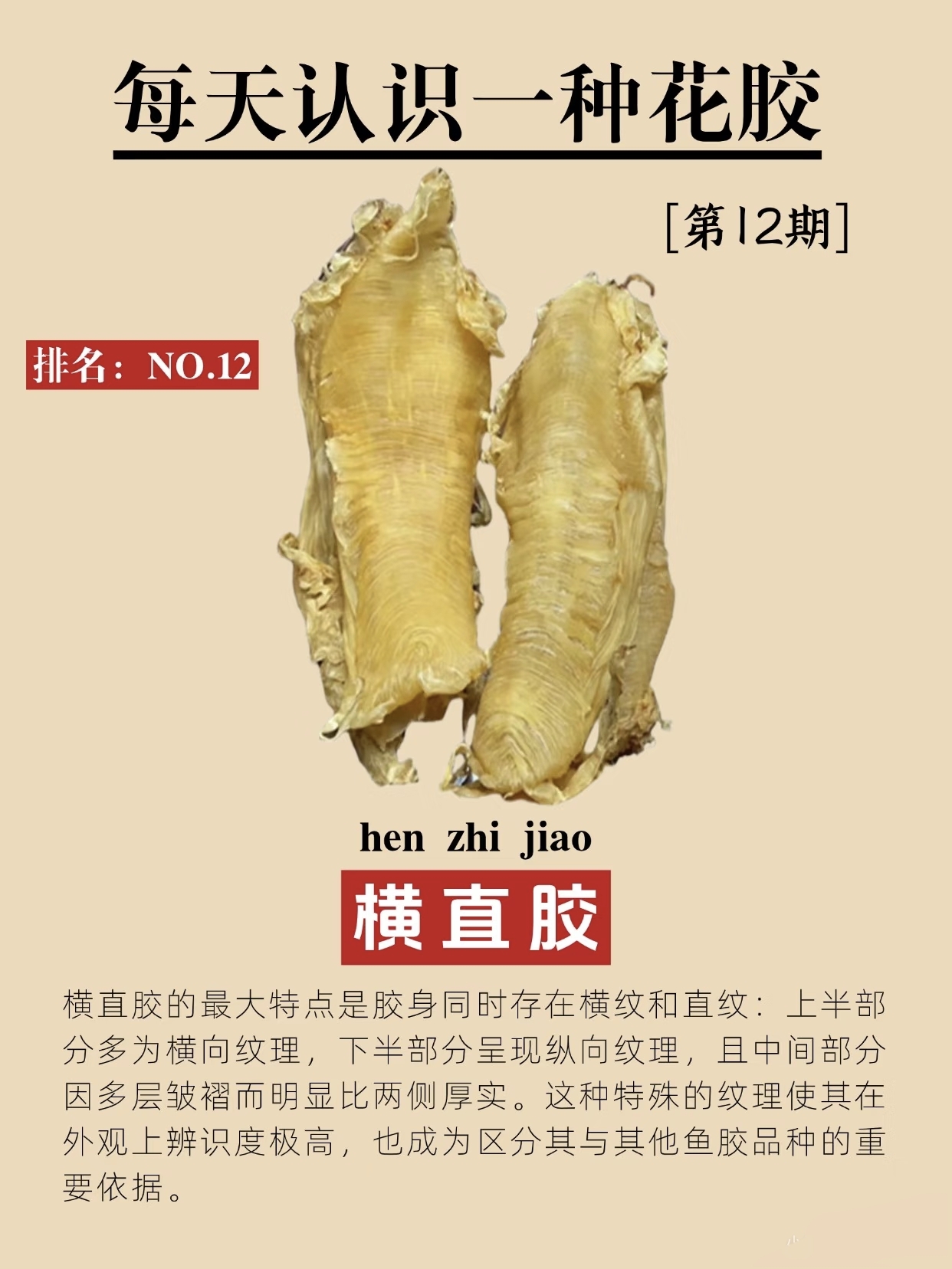 微信图片_20260326125220_436_543.jpg