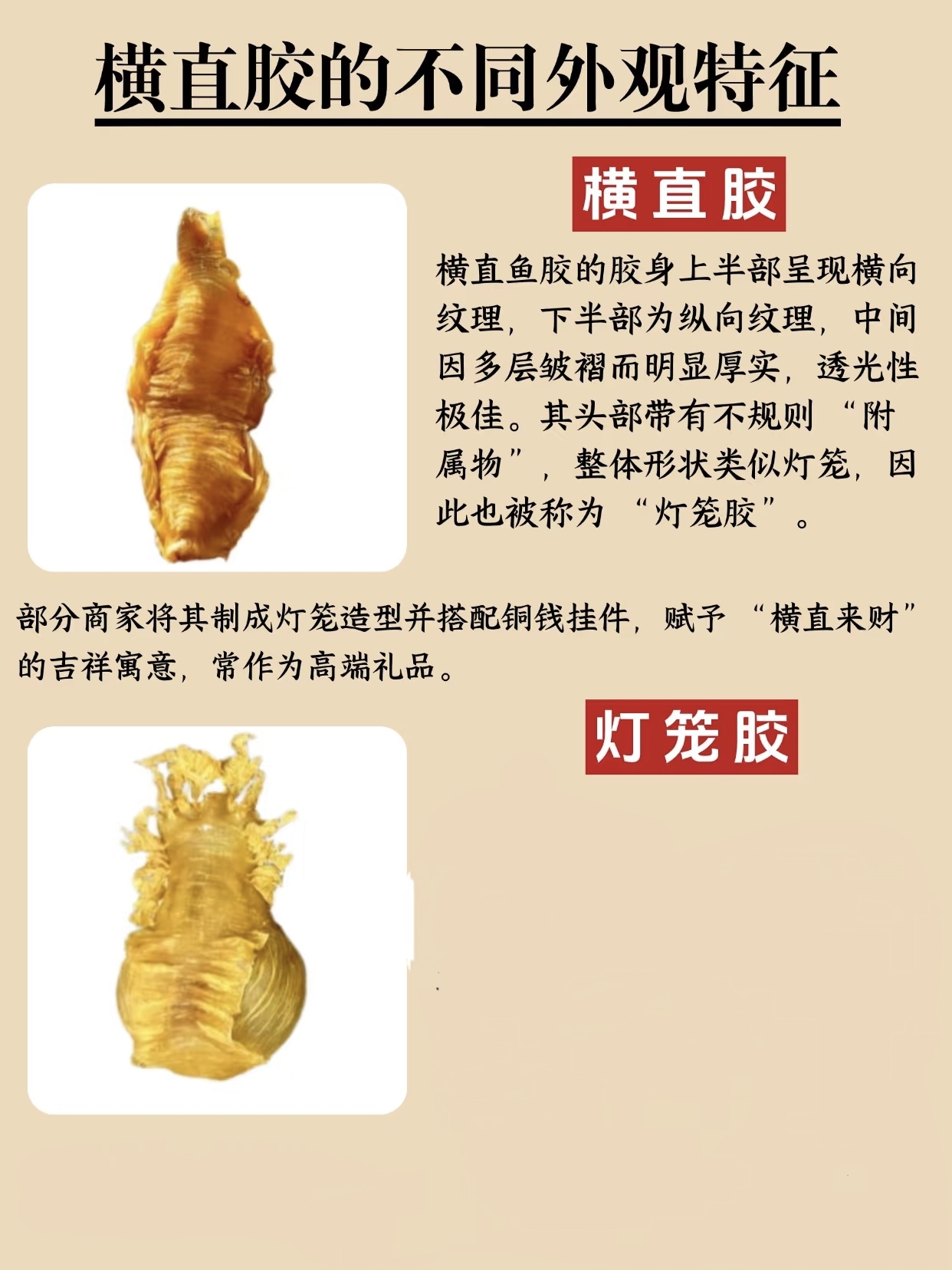 微信图片_20260326125212_433_543.jpg