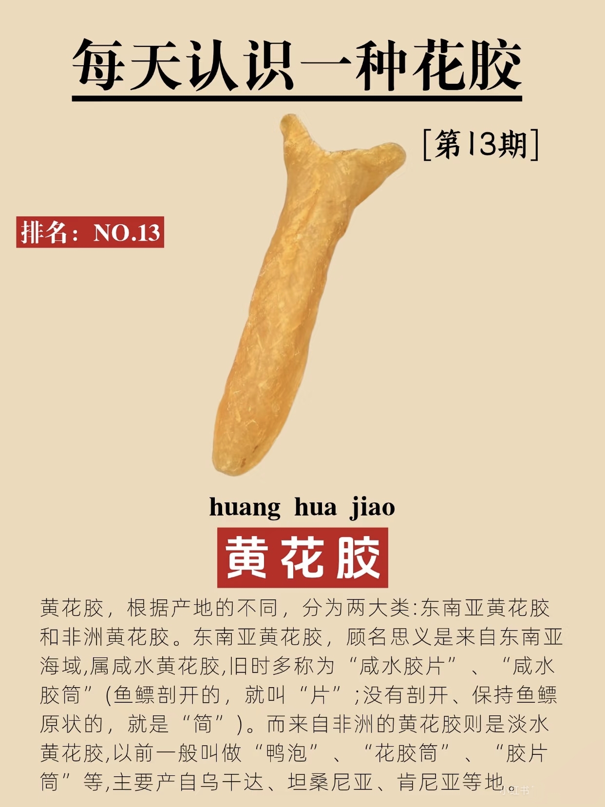 微信图片_20260326125619_439_543.jpg