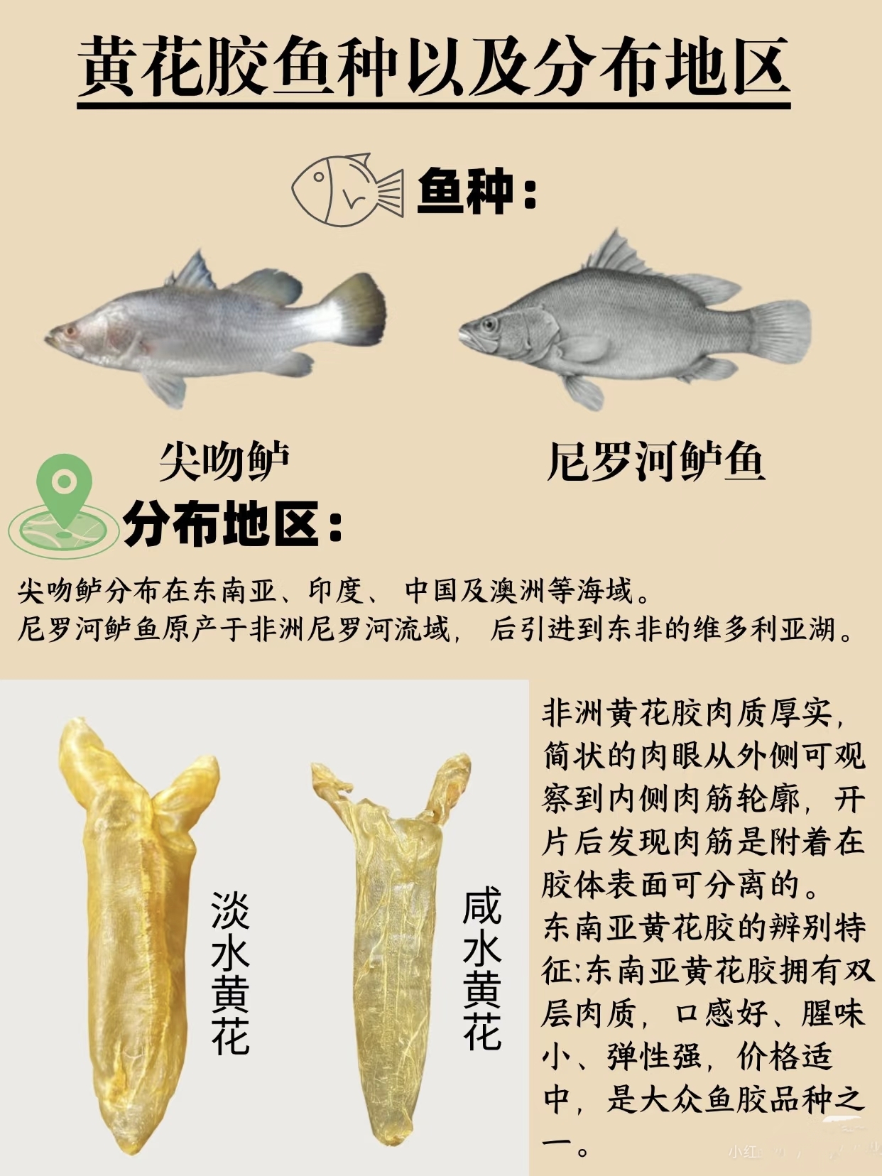 微信图片_20260326125615_438_543.jpg