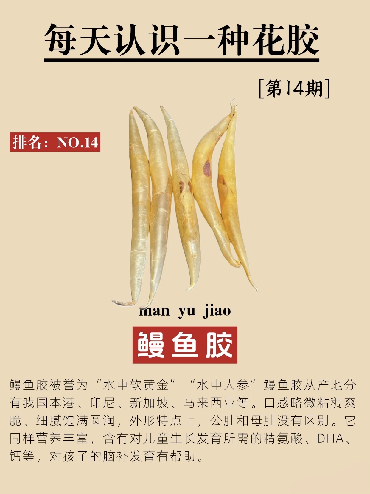 微信图片_20260326130407_444_543.jpg