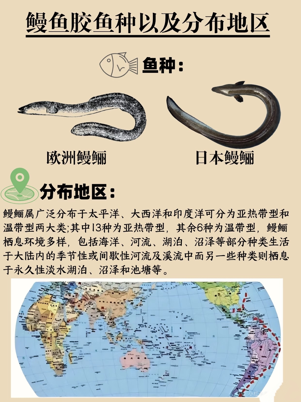 微信图片_20260326130403_443_543.jpg