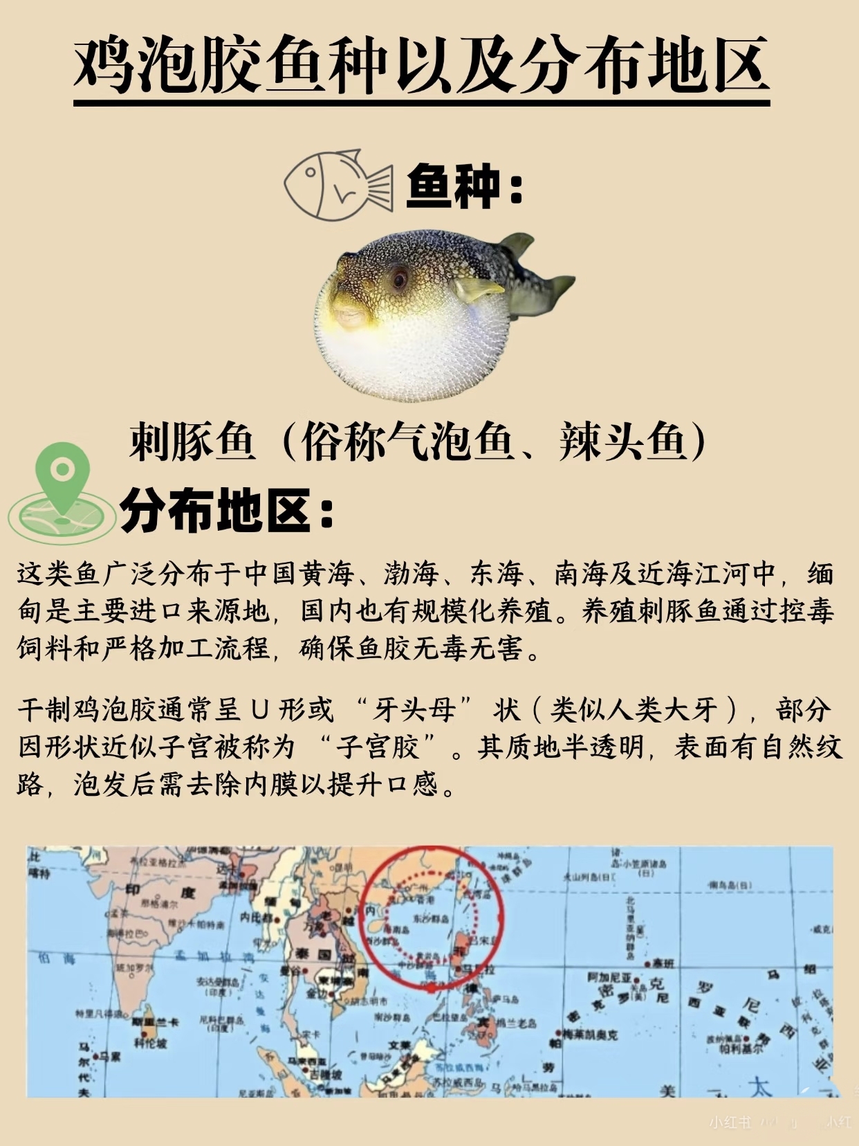 微信图片_20260326131830_454_543.jpg