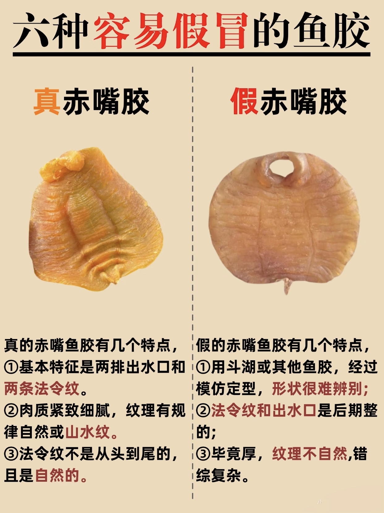 一篇学会看【真假】鱼胶，你能辨别几种?