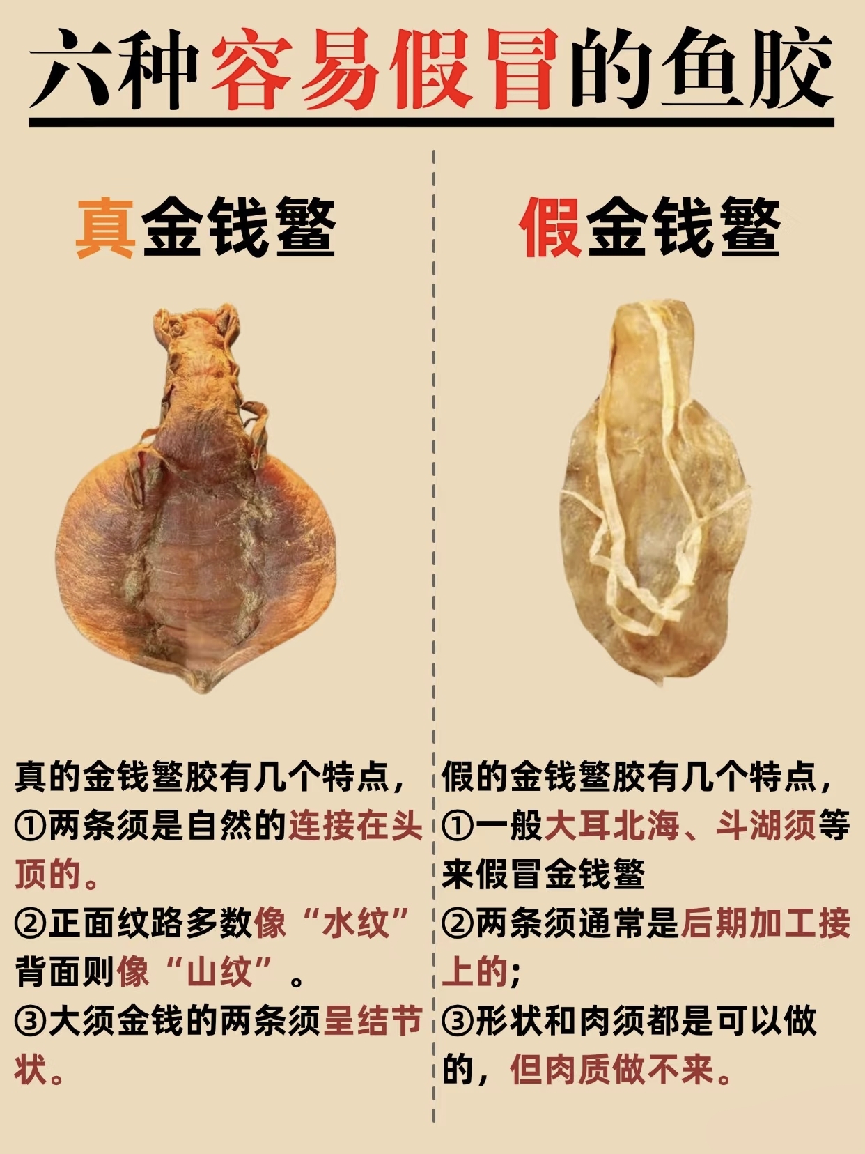 微信图片_20260326132620_457_543.jpg